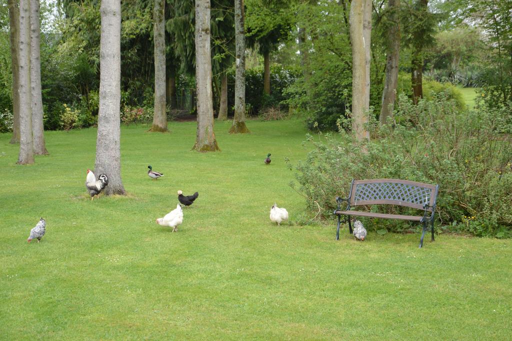 La Grange Des Marettes Bed & Breakfast Cleres Bagian luar foto