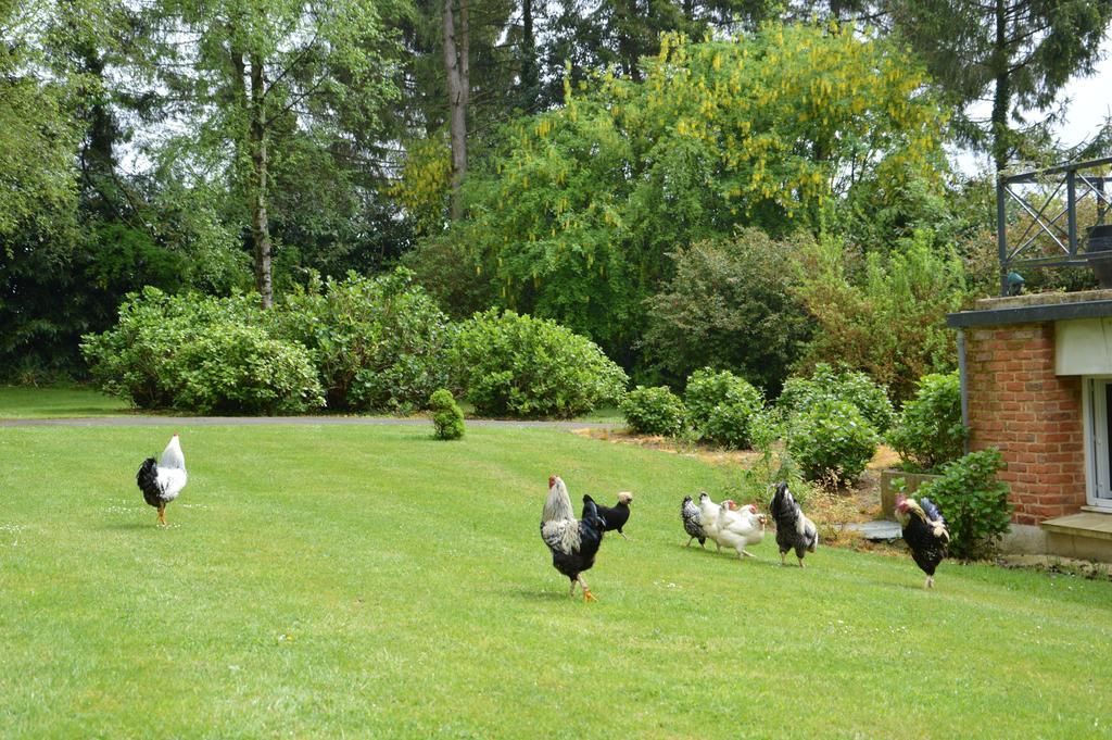 La Grange Des Marettes Bed & Breakfast Cleres Bagian luar foto